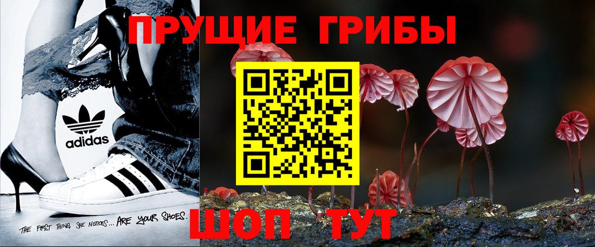 Псилоцибиновые грибы мицелий Саров