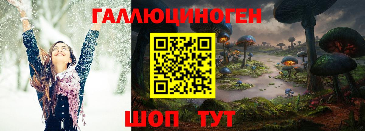 Саров  Псилоцибиновые грибы мицелий  Вход с VPN 